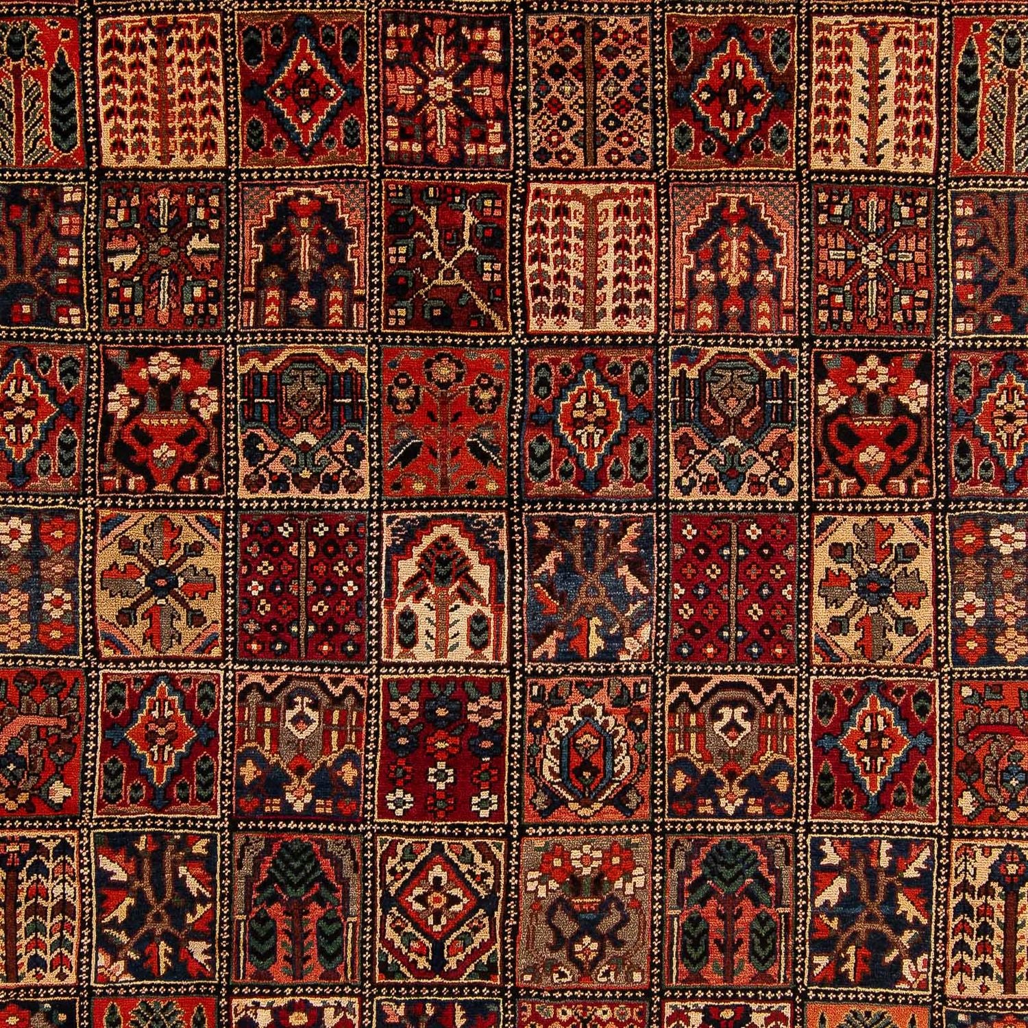 Ziegler Teppich - Bachtiari 351 x 302 cm