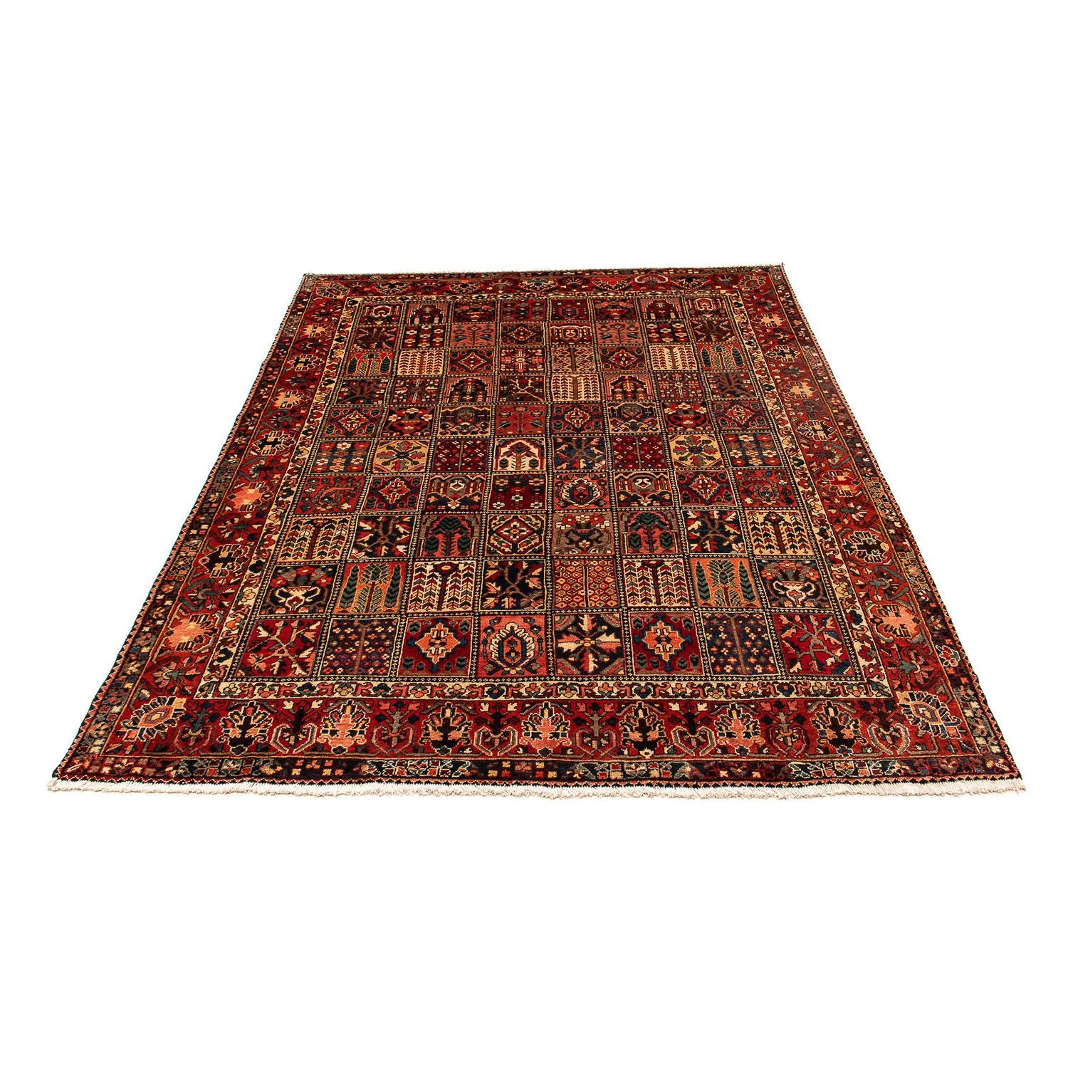 Ziegler Teppich - Bachtiari 351 x 302 cm
