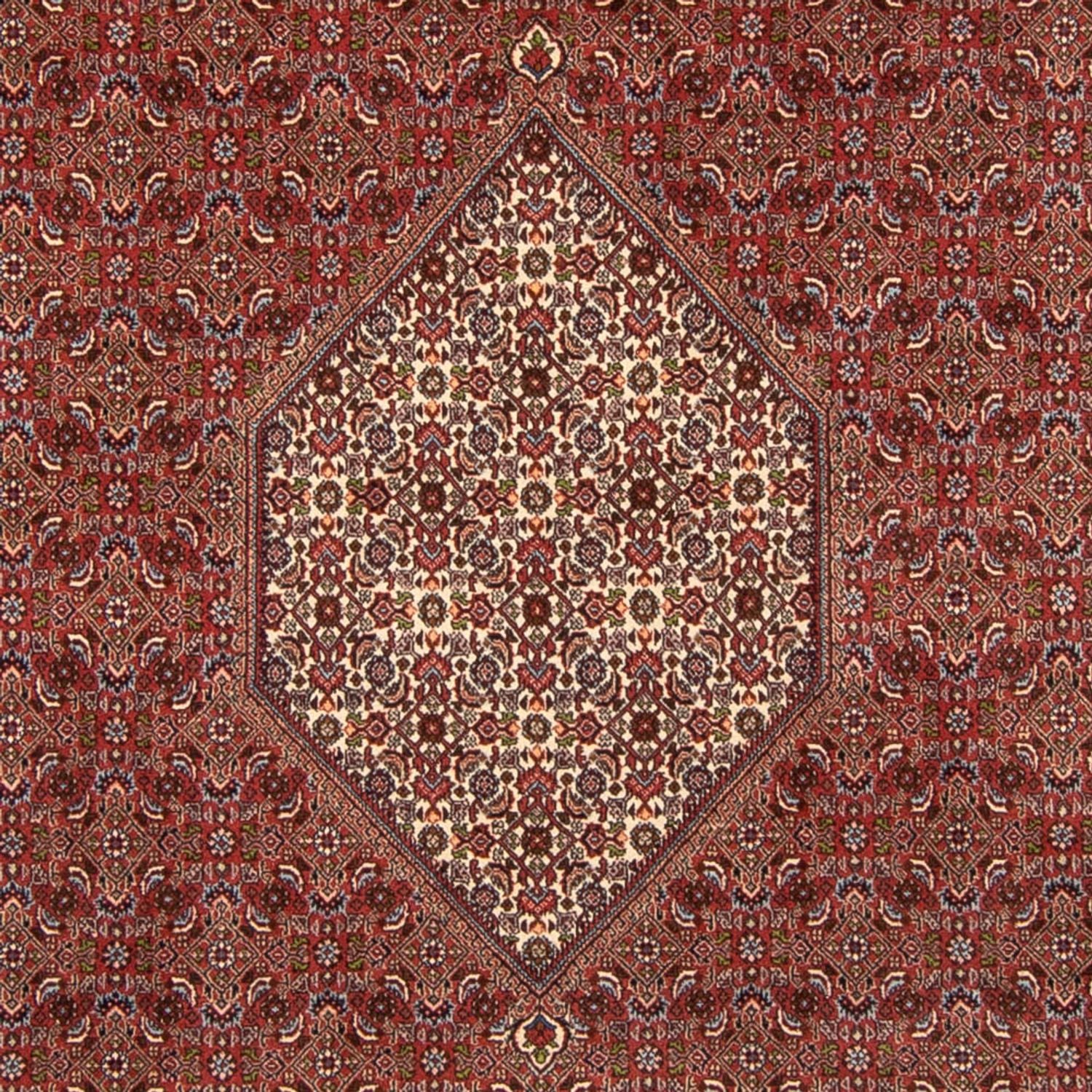 Perserteppich - Bidjar 358 x 250 cm