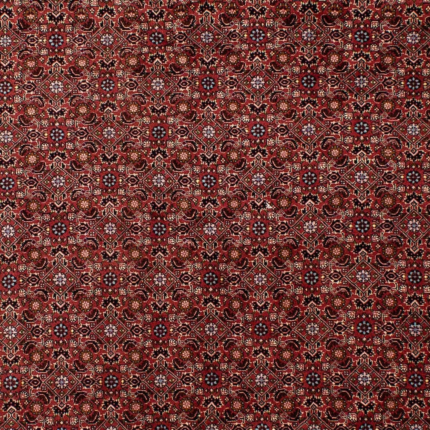 Perserteppich - Bidjar 288 x 198 cm
