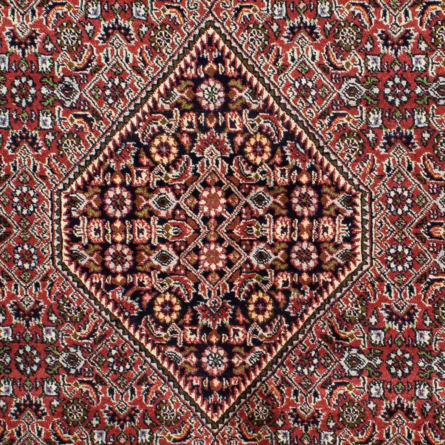 Perserteppich - Bidjar 218 x 140 cm