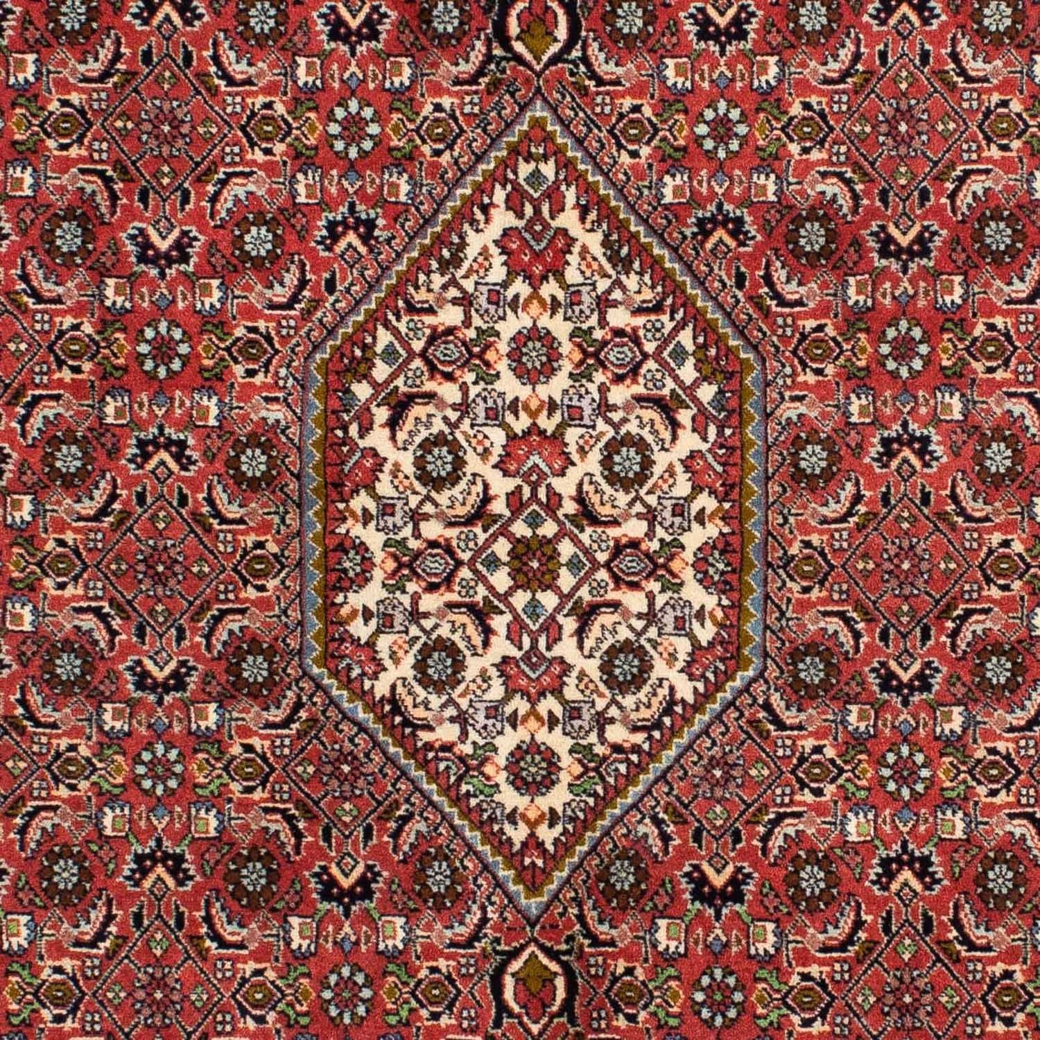 Perserteppich - Bidjar 218 x 137 cm