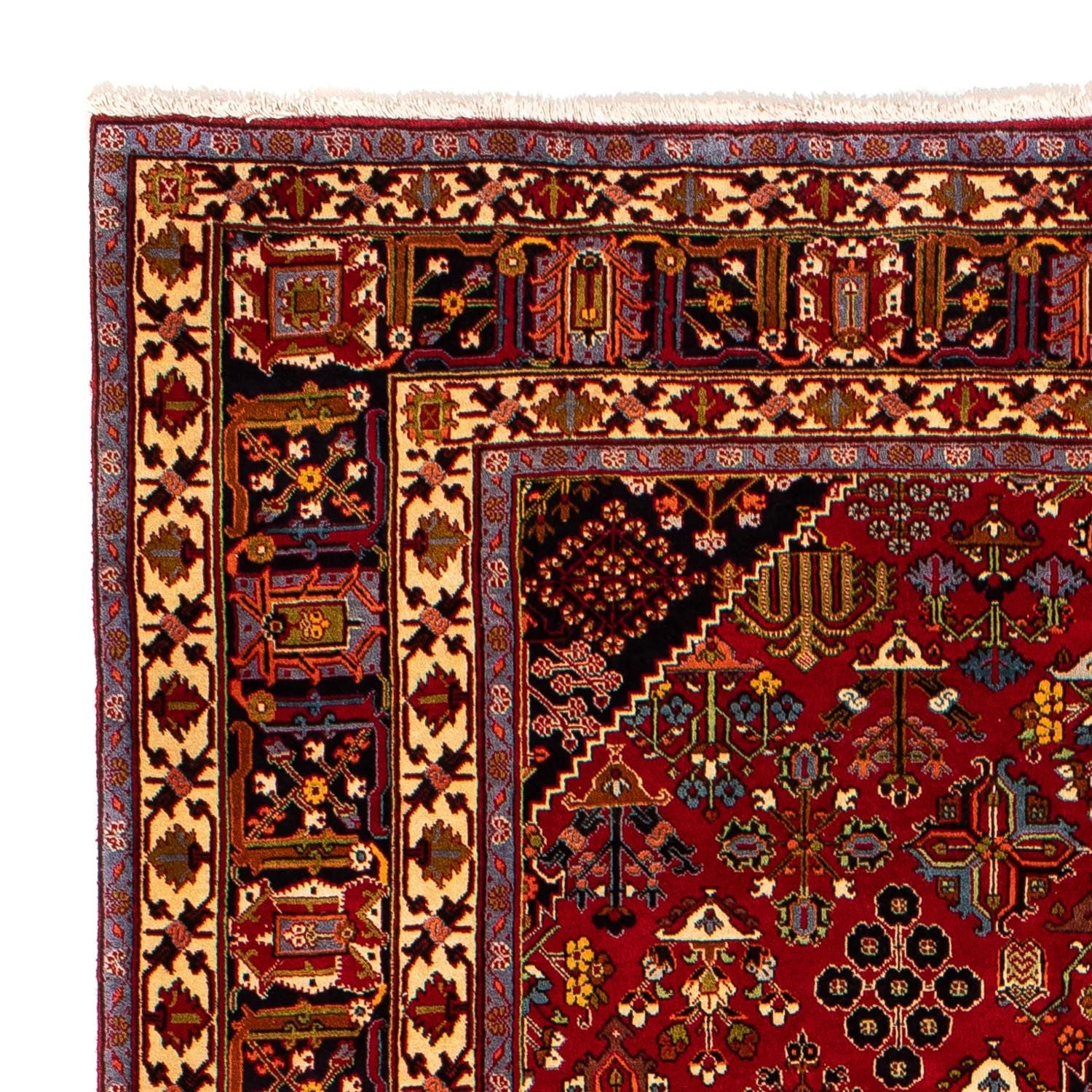 Perserteppich - Nomadic 323 x 203 cm