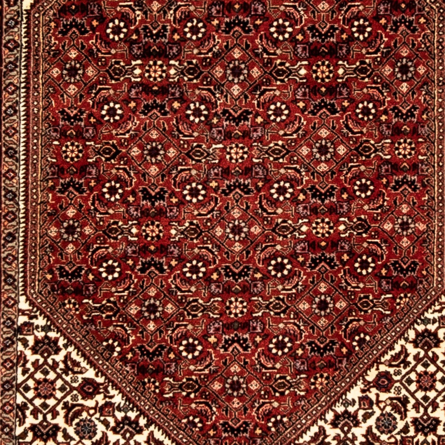 Perserteppich - Bidjar 313 x 82 cm