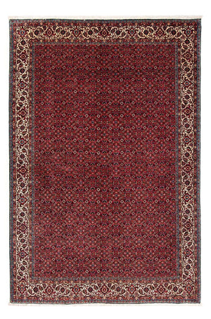 Perserteppich - Bidjar 243 x 172 cm