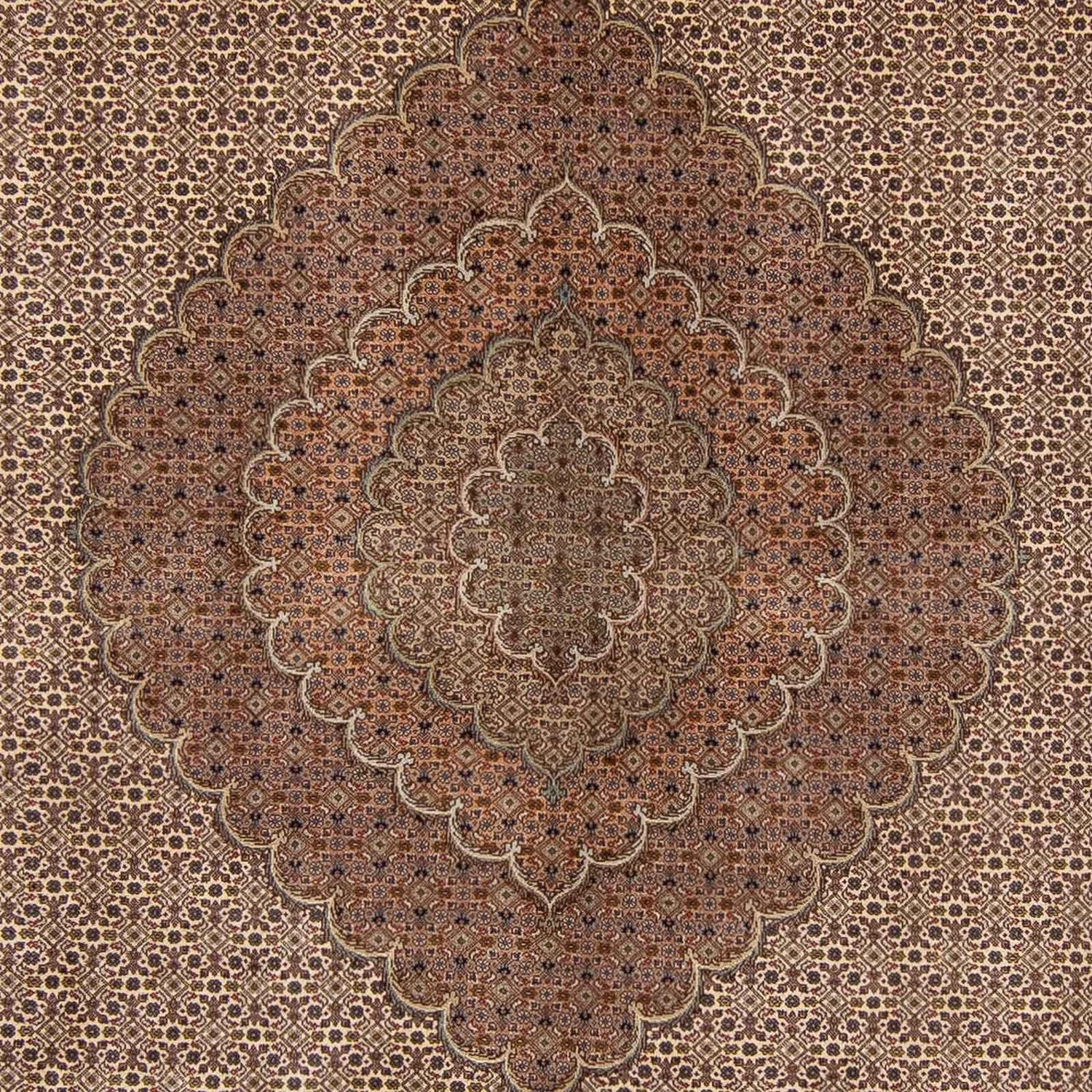 Perserteppich - Nomadic 360 x 263 cm
