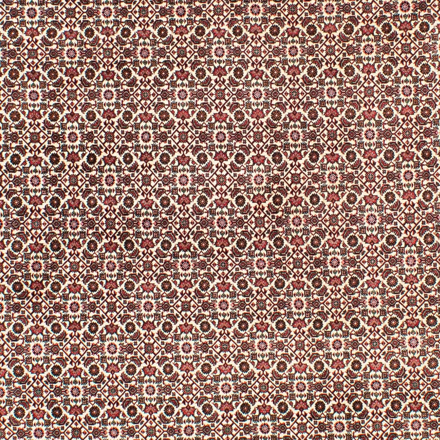 Perserteppich - Bidjar 294 x 200 cm