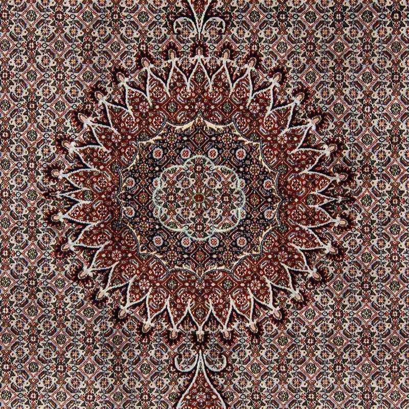 Perserteppich - Classic 284 x 201 cm