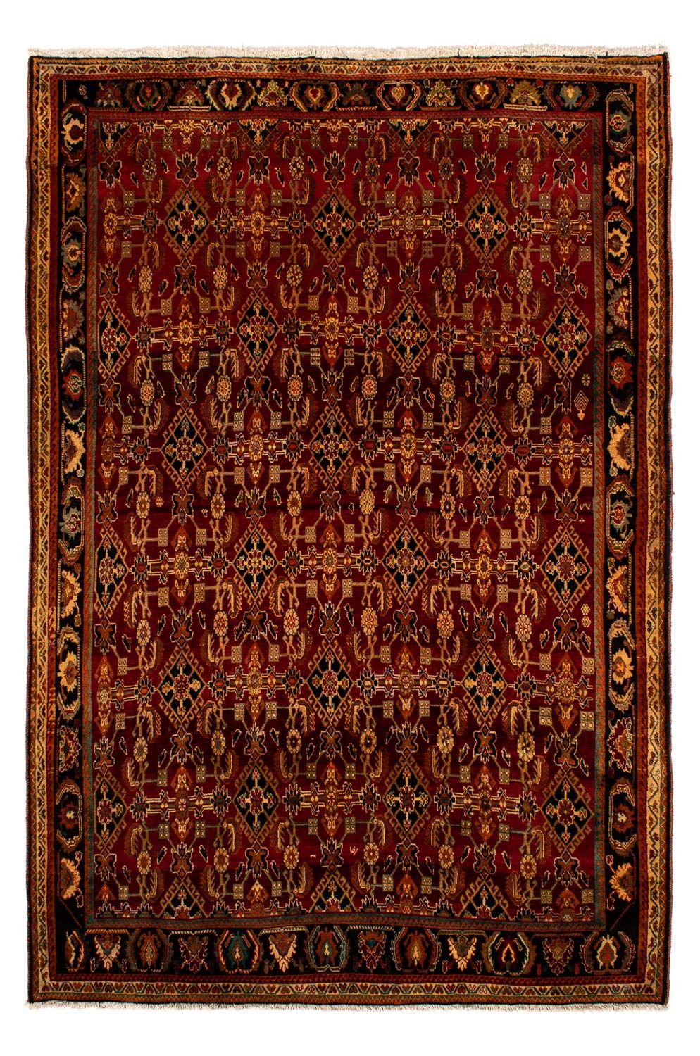 Perserteppich - Nomadic 308 x 212 cm