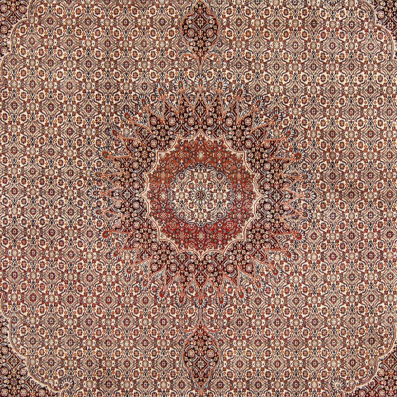 Perserteppich - Classic 290 x 248 cm