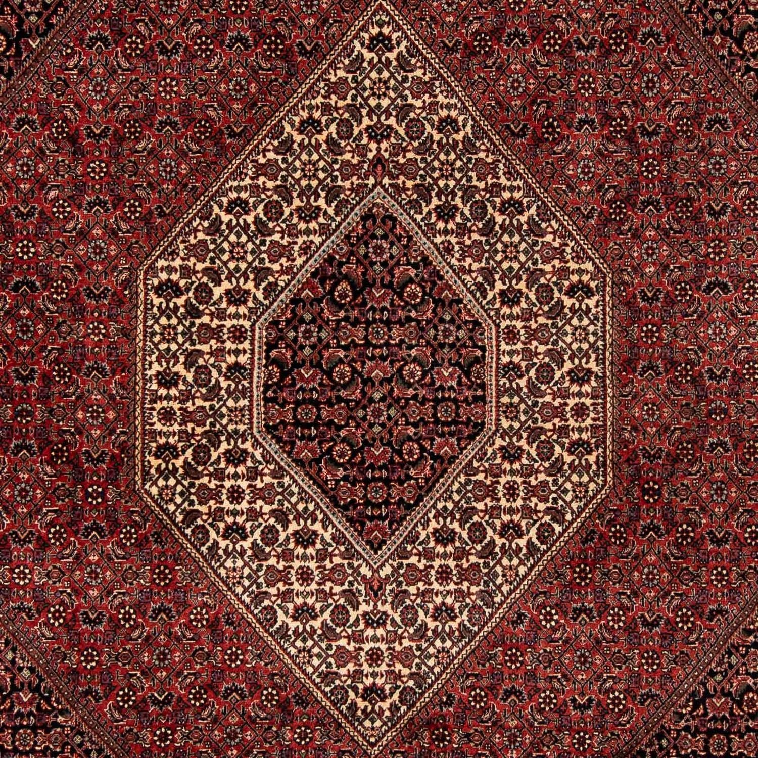 Perserteppich - Bidjar 259 x 201 cm Teppich Wohnzimmer