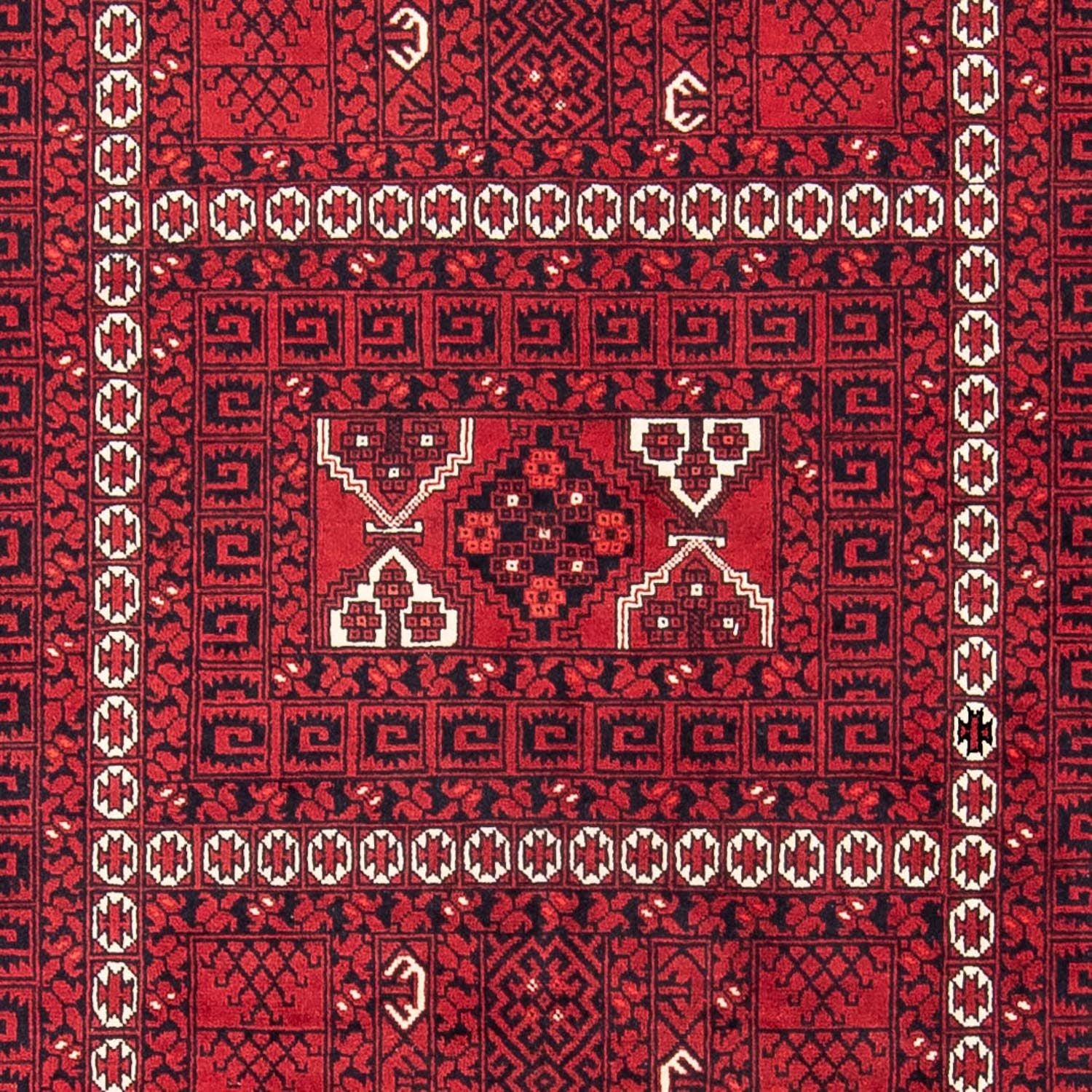 Turkaman Teppich 246 x 159 cm