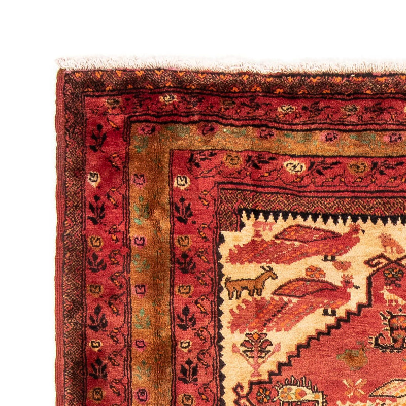 Belutsch Teppich 224 x 134 cm - rot