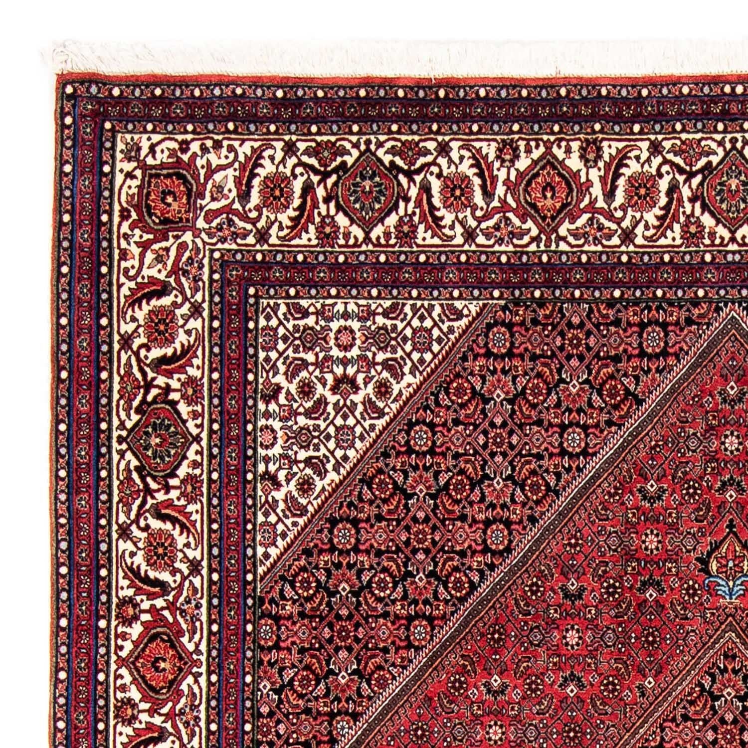 Perserteppich - Bidjar 245 x 170 cm Teppich Wohnzimmer