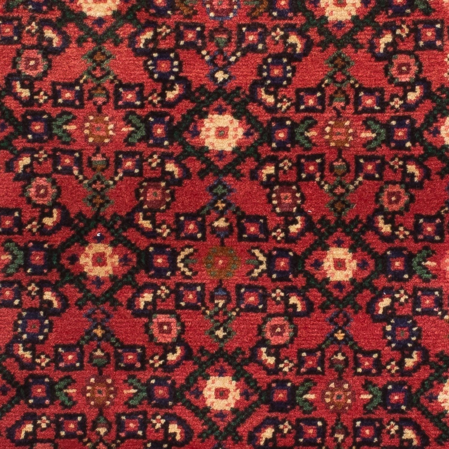 Perserteppich - Nomadic 200 x 73 cm