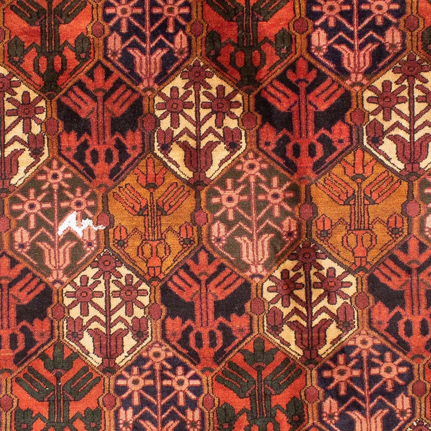 Perserteppich - Nomadic 288 x 210 cm