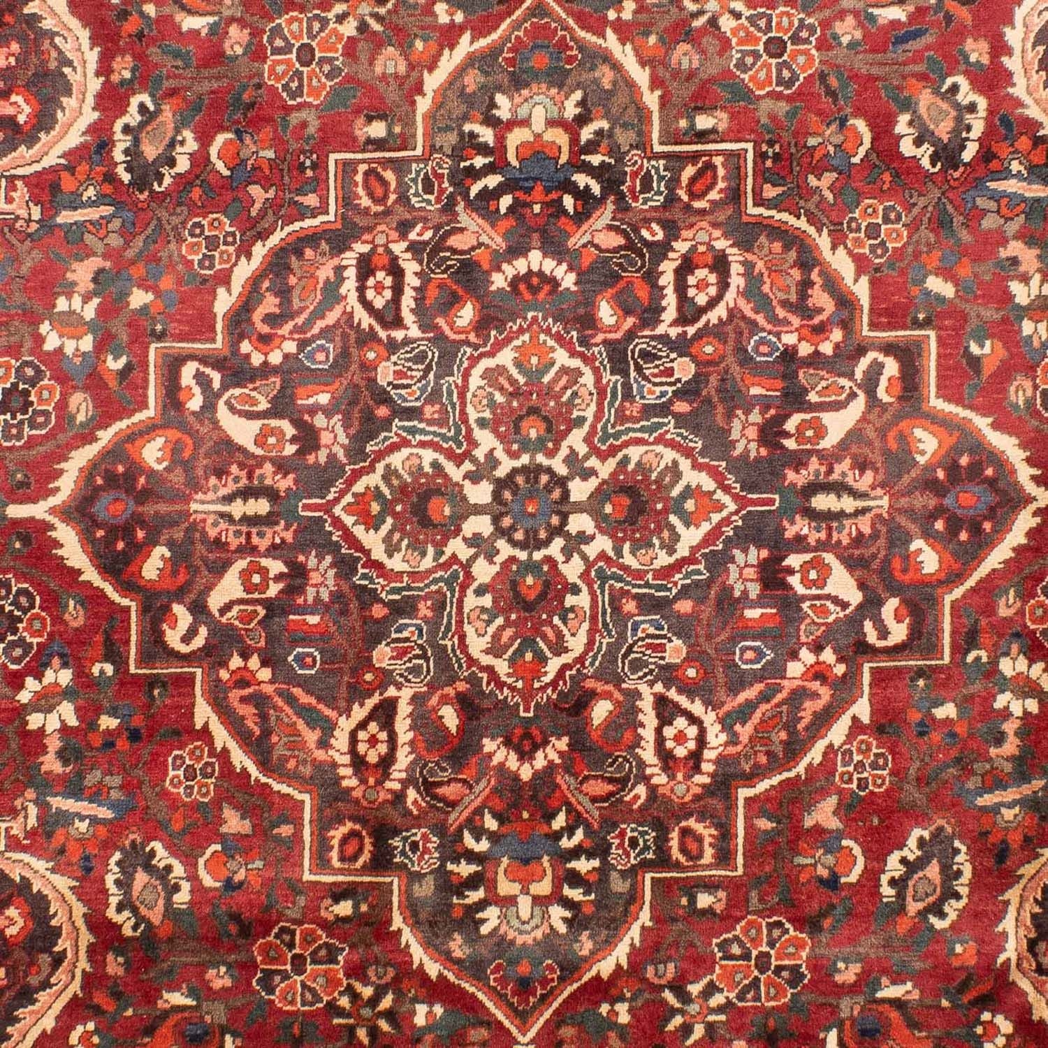 Perserteppich - Nomadic 294 x 205 cm