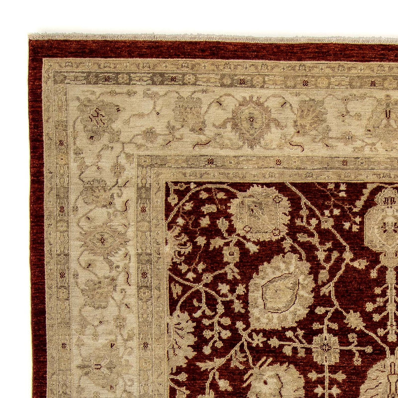Ziegler Teppich 296 x 242 cm