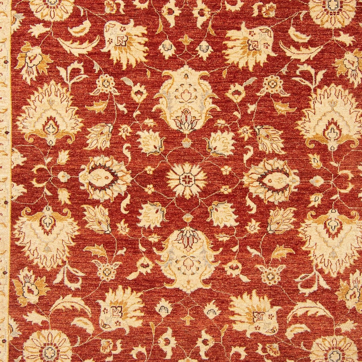 Ziegler Teppich 350 x 277 cm