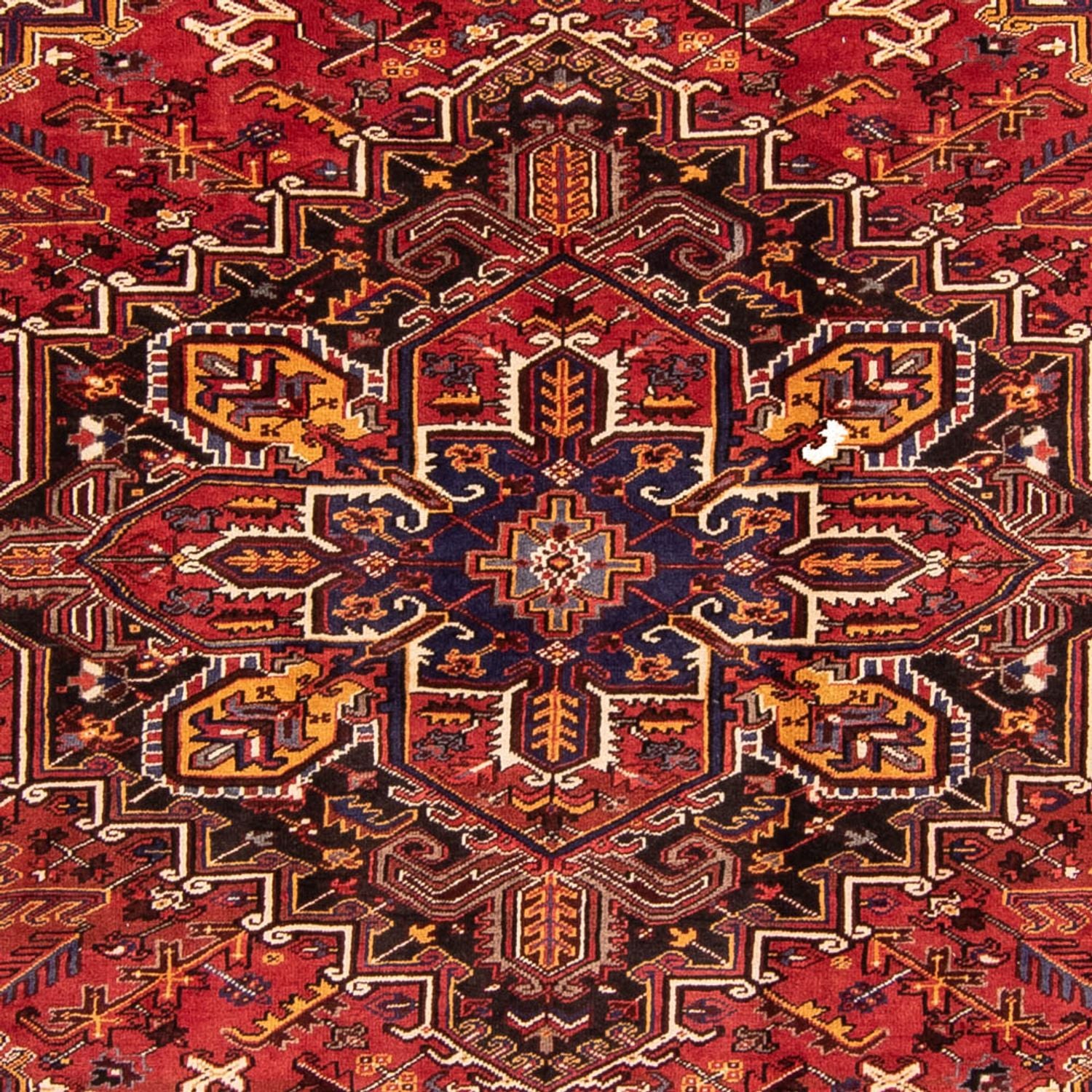Perserteppich - Nomadic 329 x 254 cm