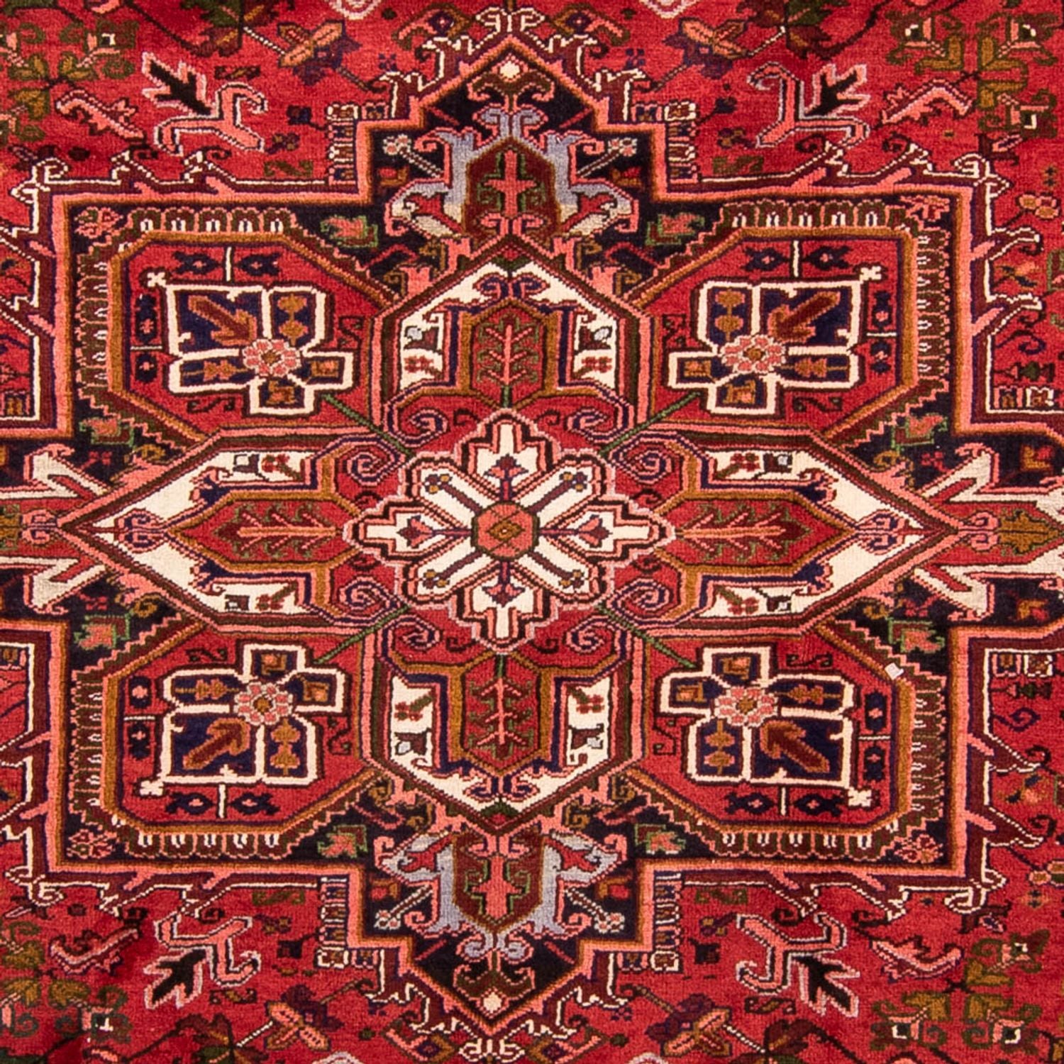 Perserteppich - Nomadic 348 x 257 cm