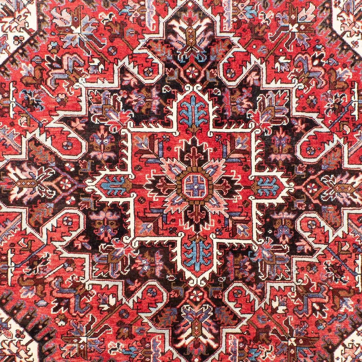Perserteppich - Nomadic 262 x 206 cm