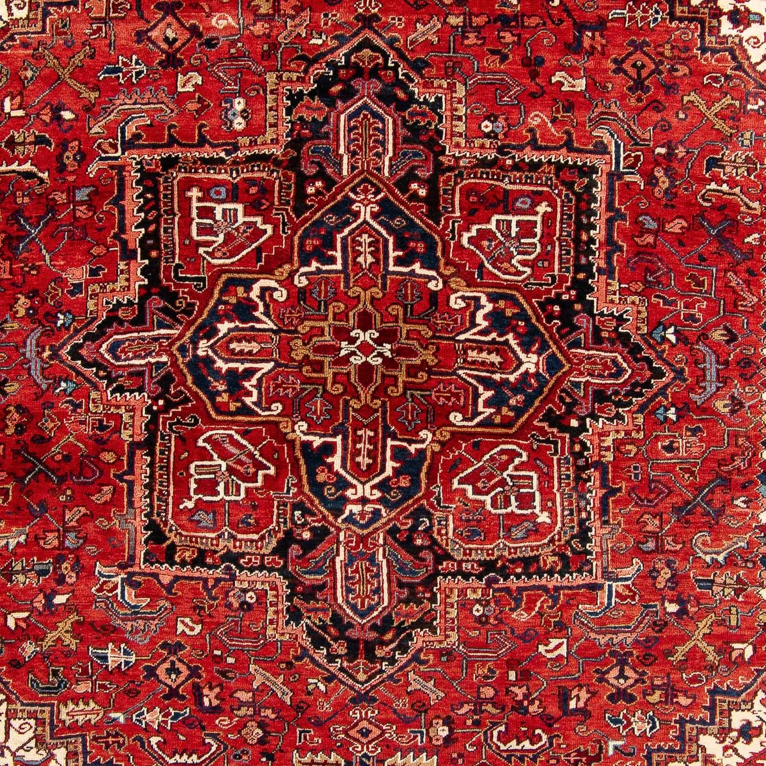Perserteppich - Nomadic 384 x 280 cm