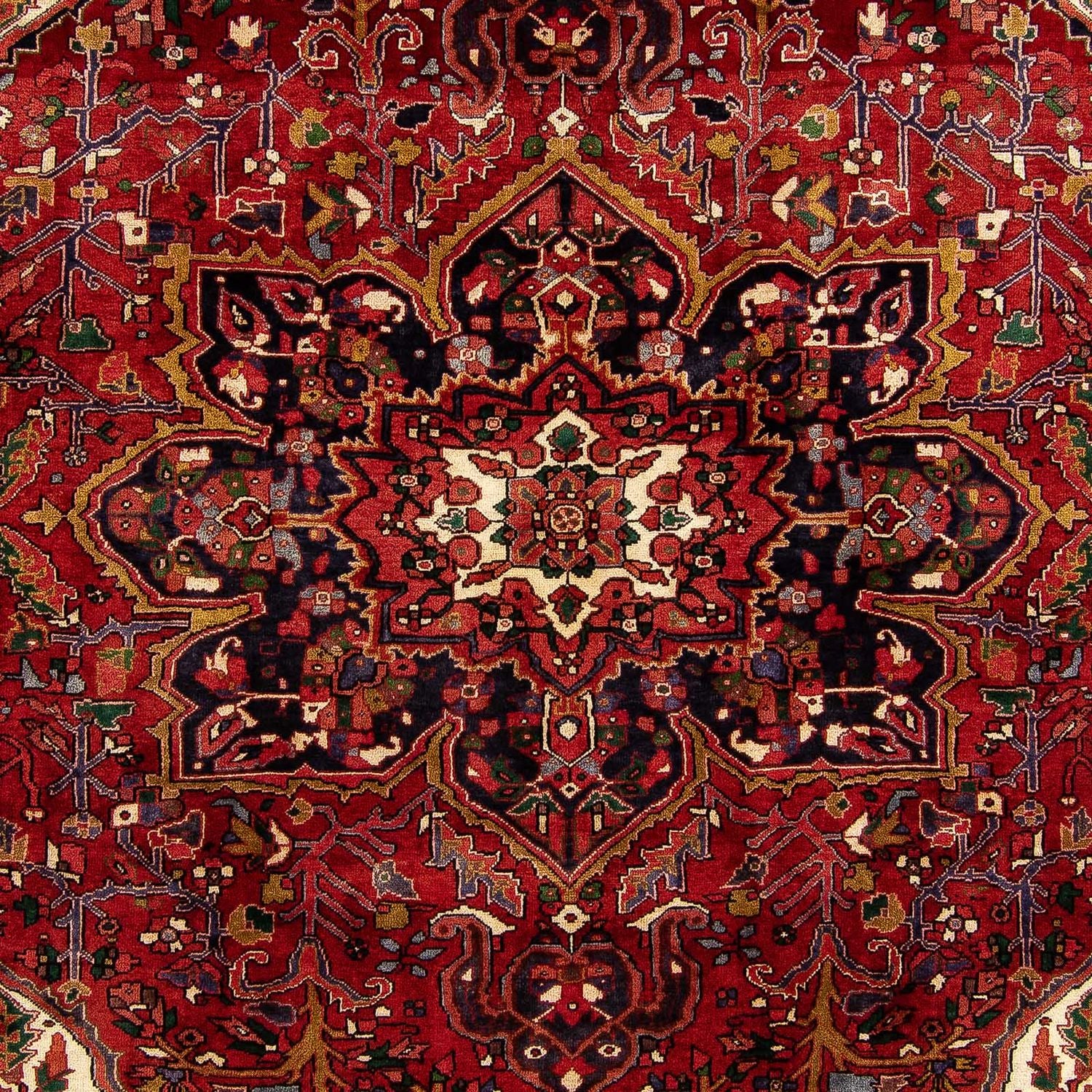 Perserteppich - Nomadic 362 x 277 cm