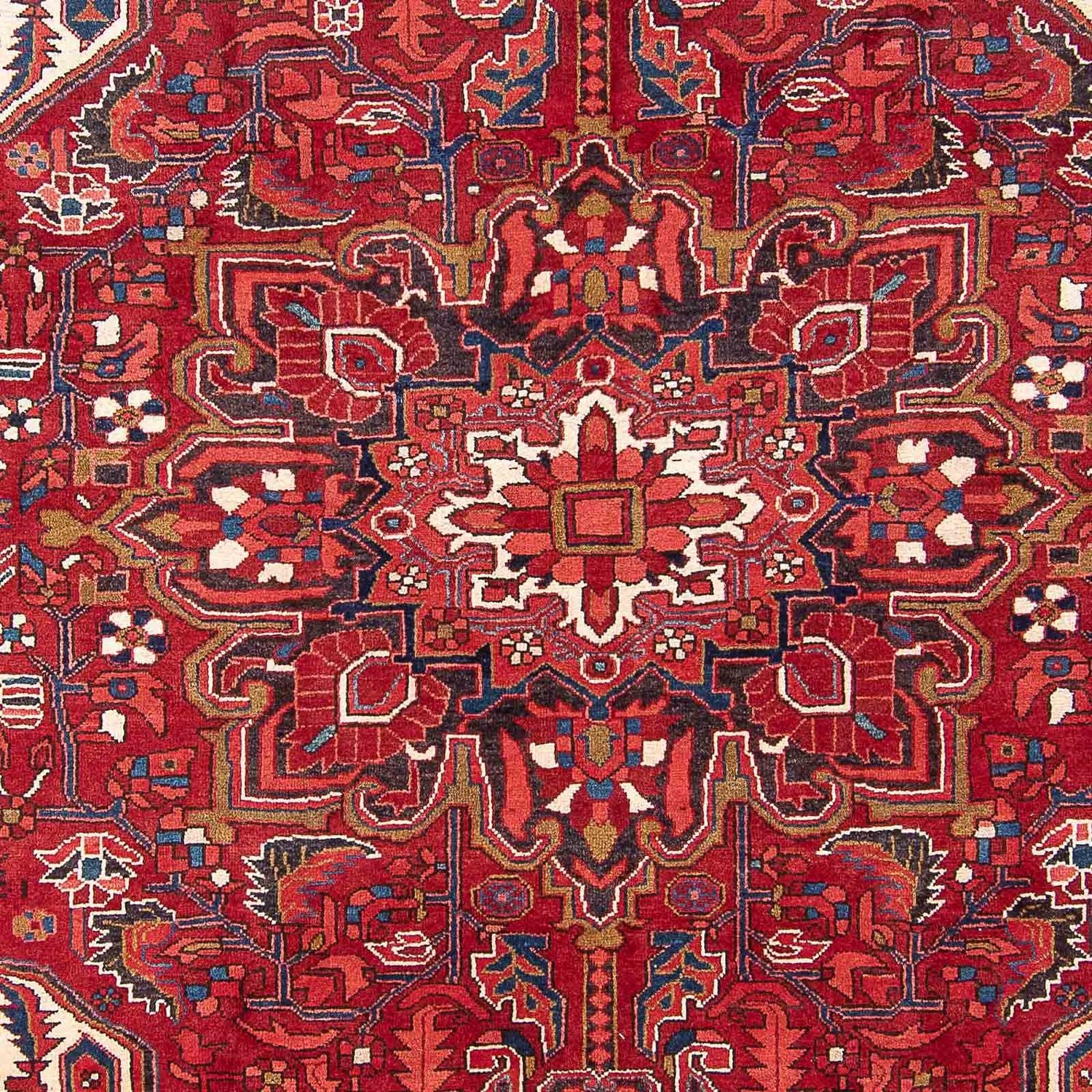 Perserteppich - Nomadic 323 x 252 cm