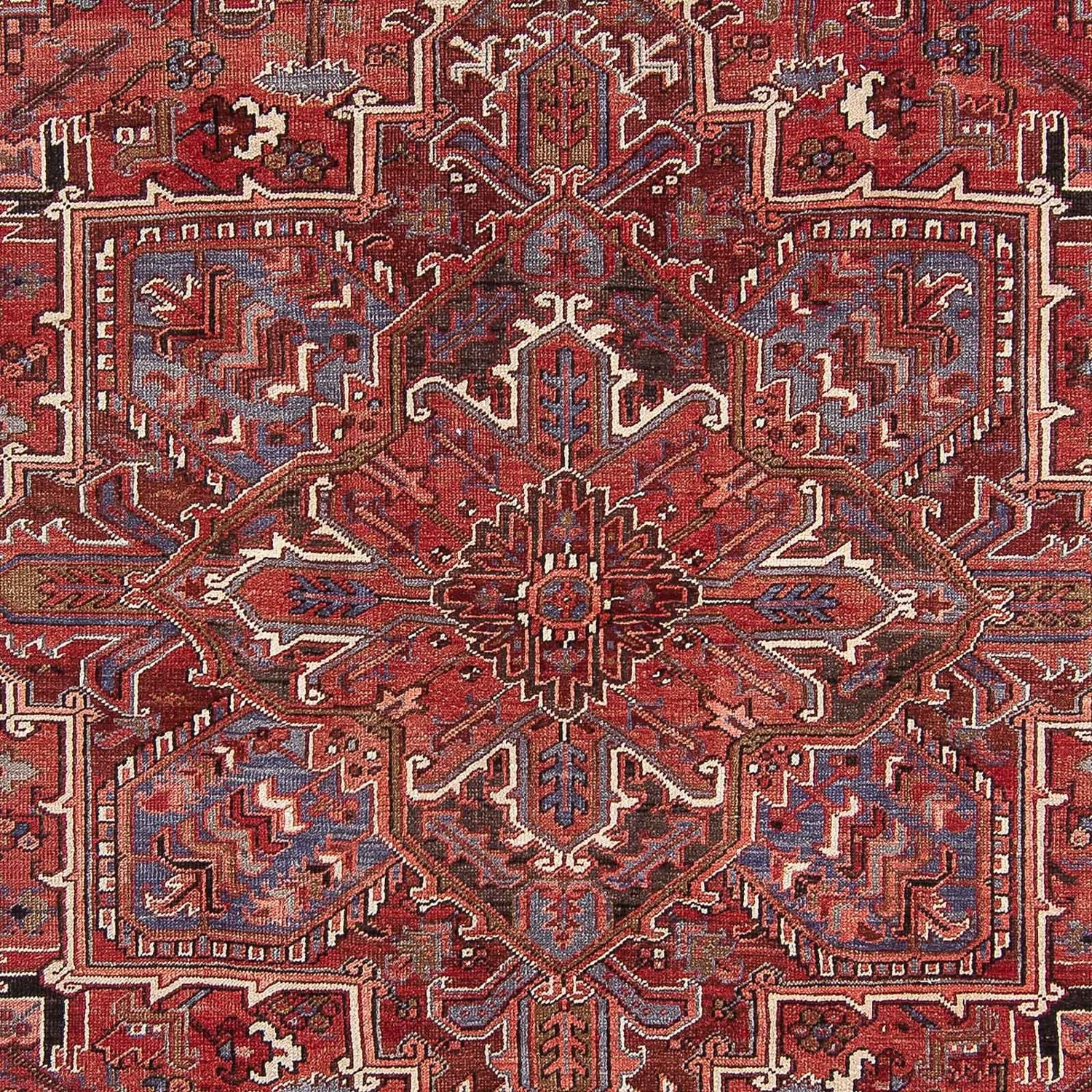 Perserteppich - Nomadic 325 x 245 cm